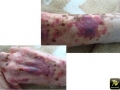 Battman, purpura de