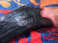 gangrene-gazeuse-3