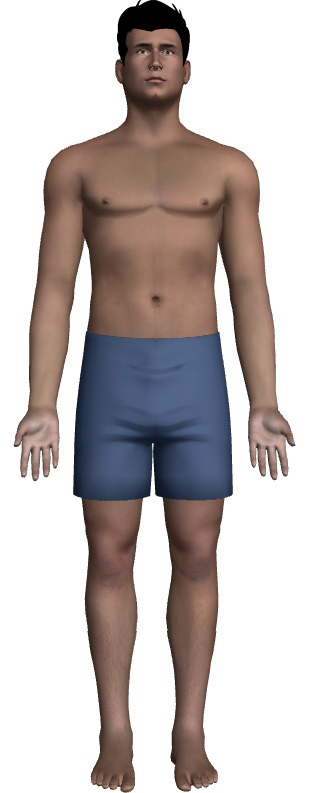 Human Body Map